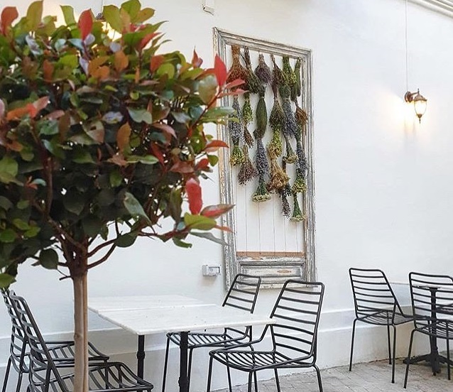 masa la restaurant anika, cu scaune negre si masa alba, iar pep perete o rama decorativa cu plante aromatice si un arbust decorativ in prim plan
