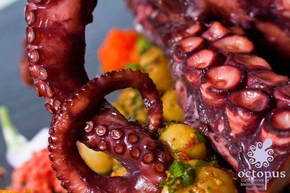 Gastronomie fina pentru toti – delicii din fructe de mare la Octopus